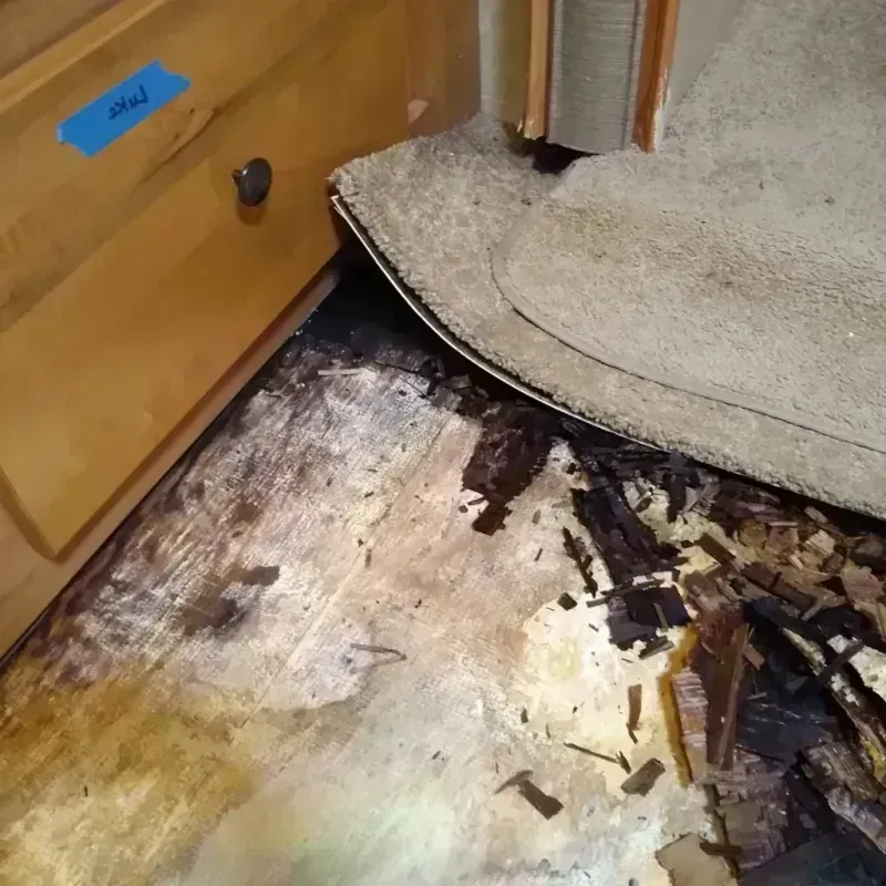 Best Wood Floor Water Damage Service in Yorktown Heights, NY